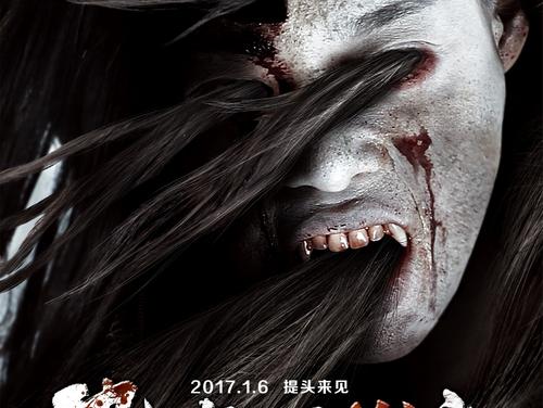 刚果共和国护照哪里可以做假的